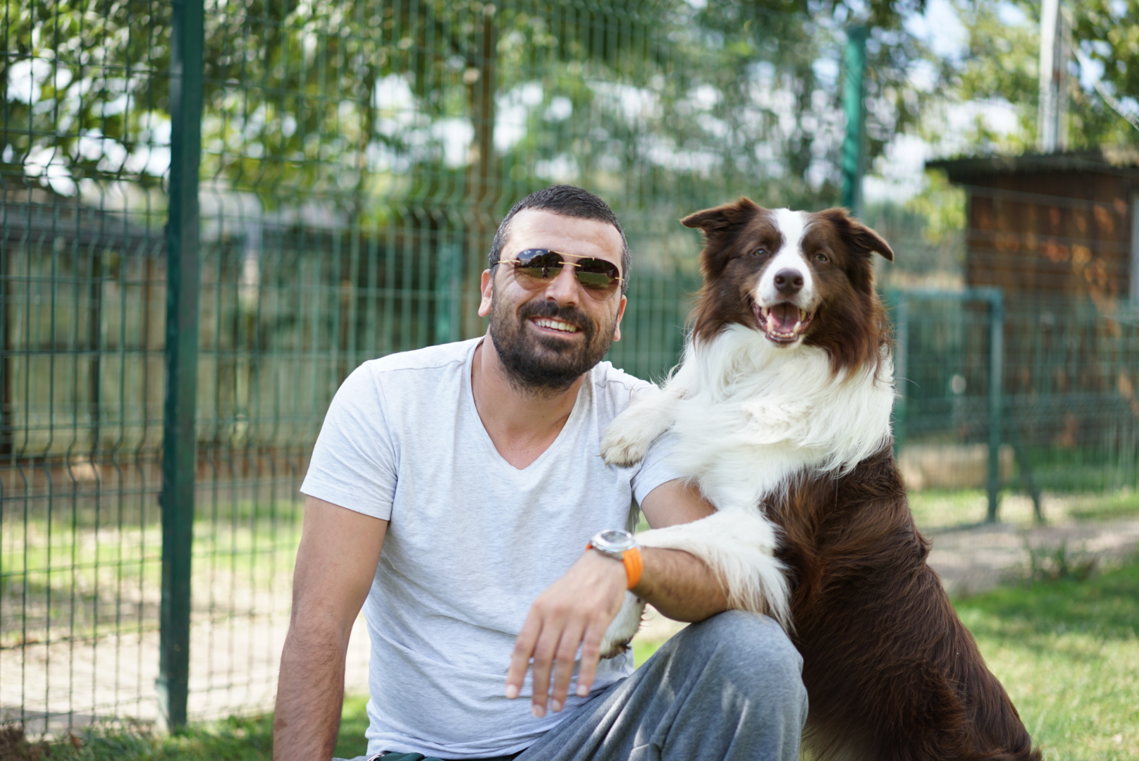 Köpek Eğitim Ücretleri